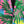 Men's Tropical Rainforest Print Blazer #X312