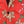Men's Santa Style Suit #2TZ26