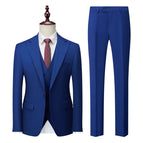 Royal Blue / XS